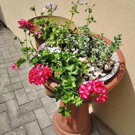 Ferienwohnung Goethe Bernkastel-Kues Dış mekan fotoğraf