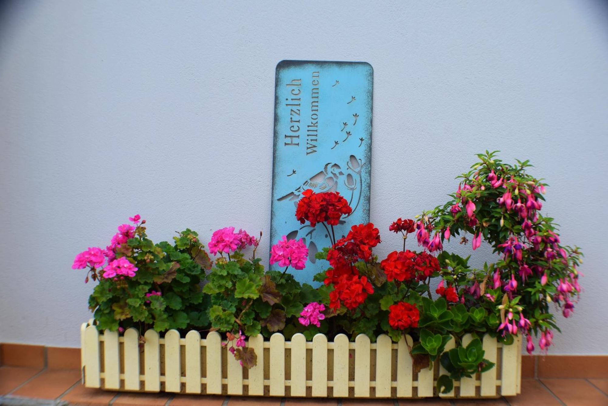 Ferienwohnung Goethe Bernkastel-Kues Dış mekan fotoğraf