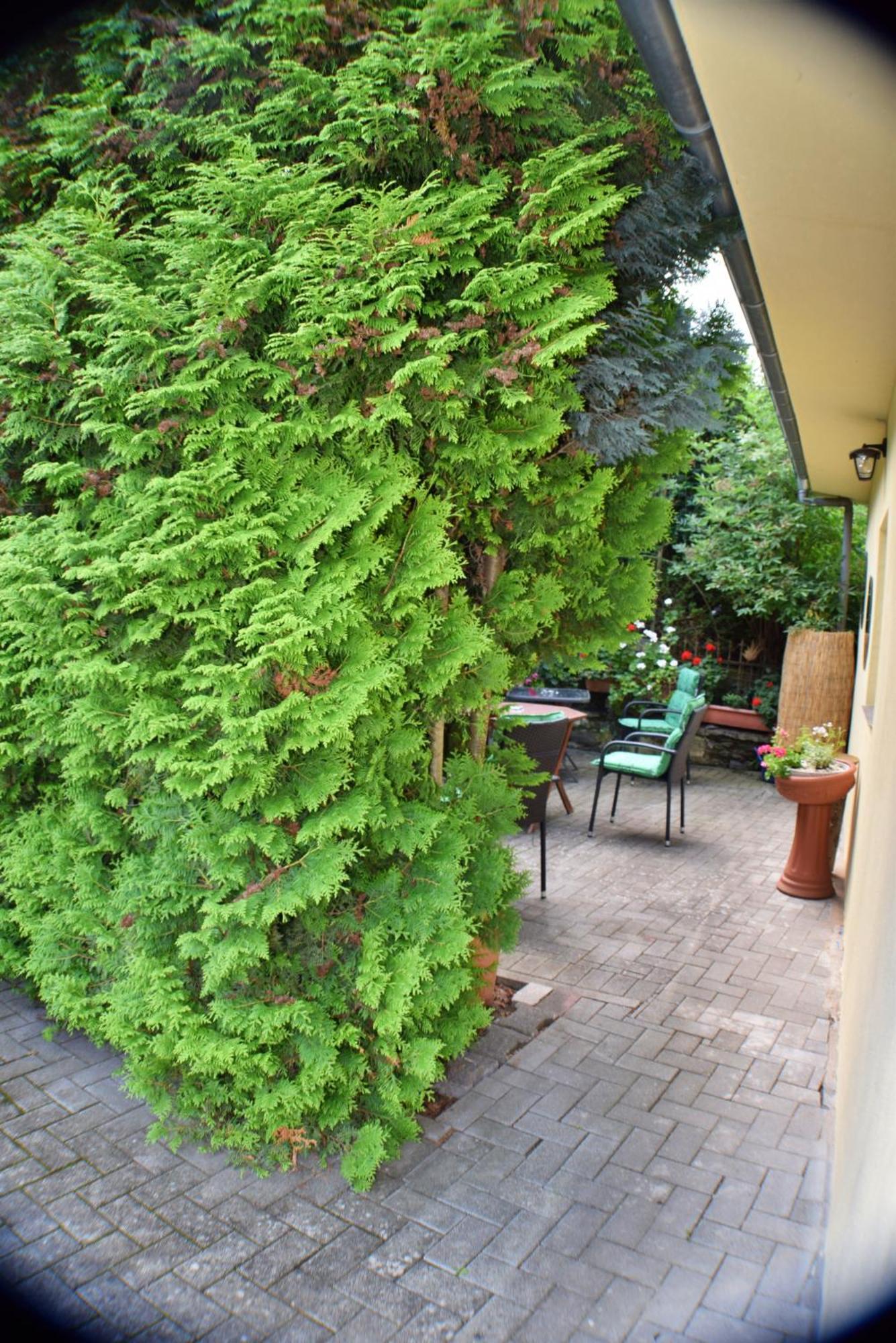 Ferienwohnung Goethe Bernkastel-Kues Dış mekan fotoğraf